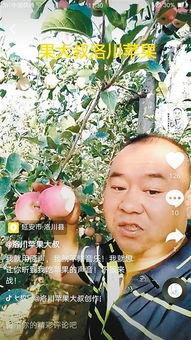 水果大叔爆料视频,视频内容大起底